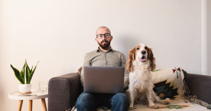 Boost Your Web Development Skills from Home
